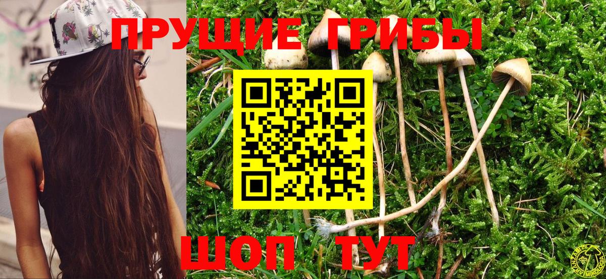 Изобильный  Галлюциногенные грибы мухоморы  Вход с VPN 